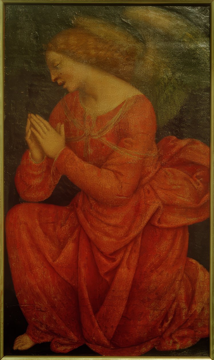 Tilbedende engel af Gaudenzio Ferrari