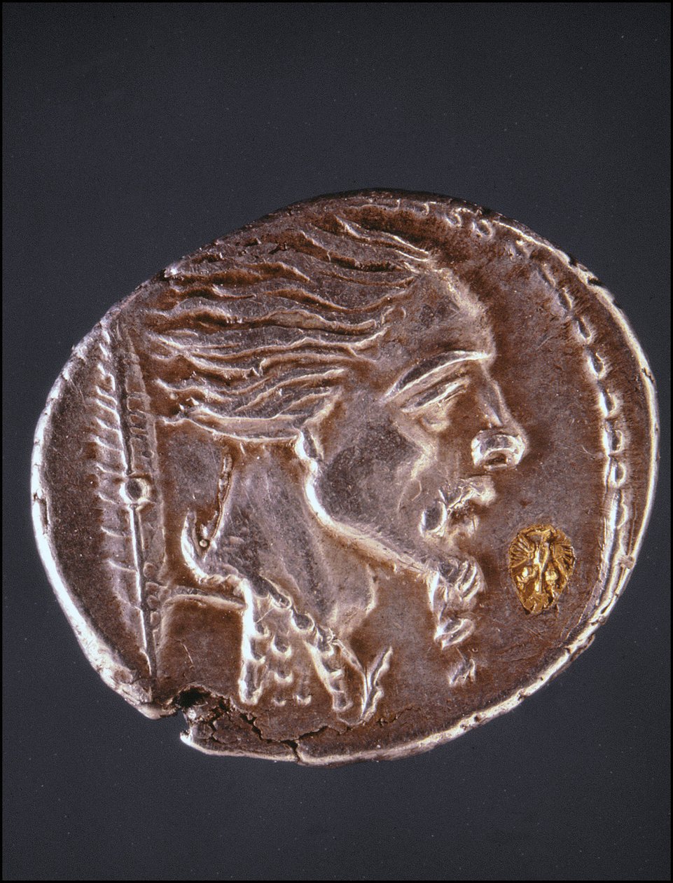Antag profil af Vercingetorix på et Gauloise-stykke. Museum for medaljesamlingen. Milano af Gaulish Gaulish