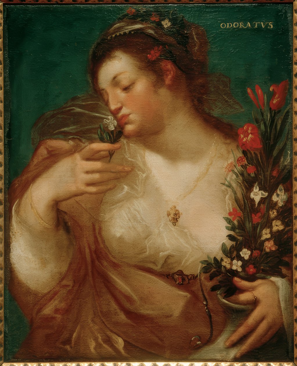 Odoratus af Geldorp Gortzius