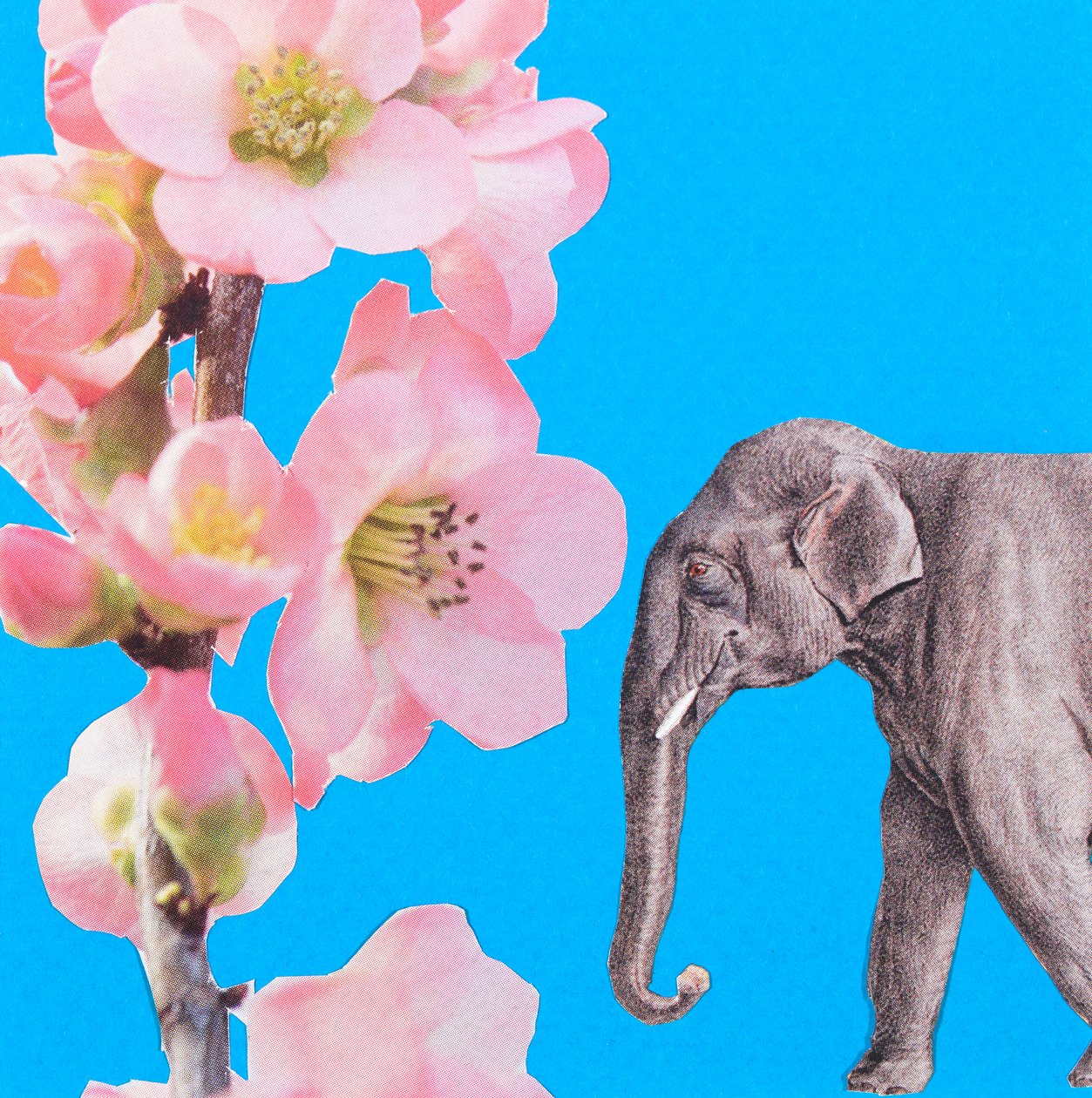 Elefantblomst, 2018, collage af Genevieve French