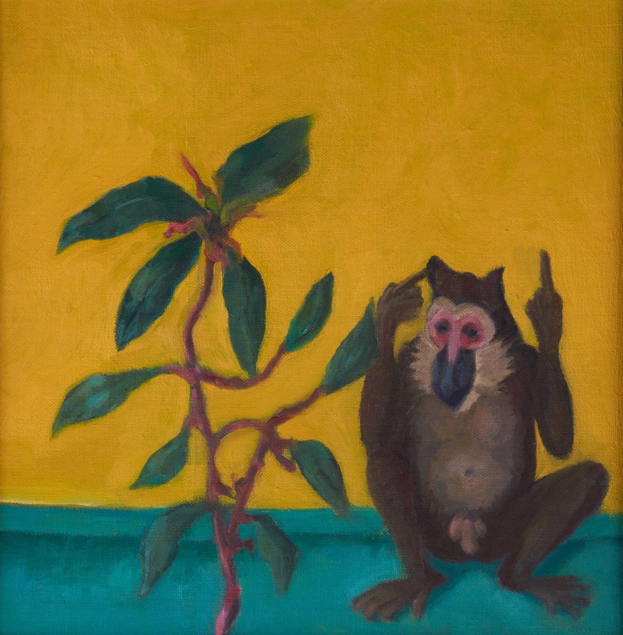 Monkey says No, 2024 (olie på plade) af Genevieve French