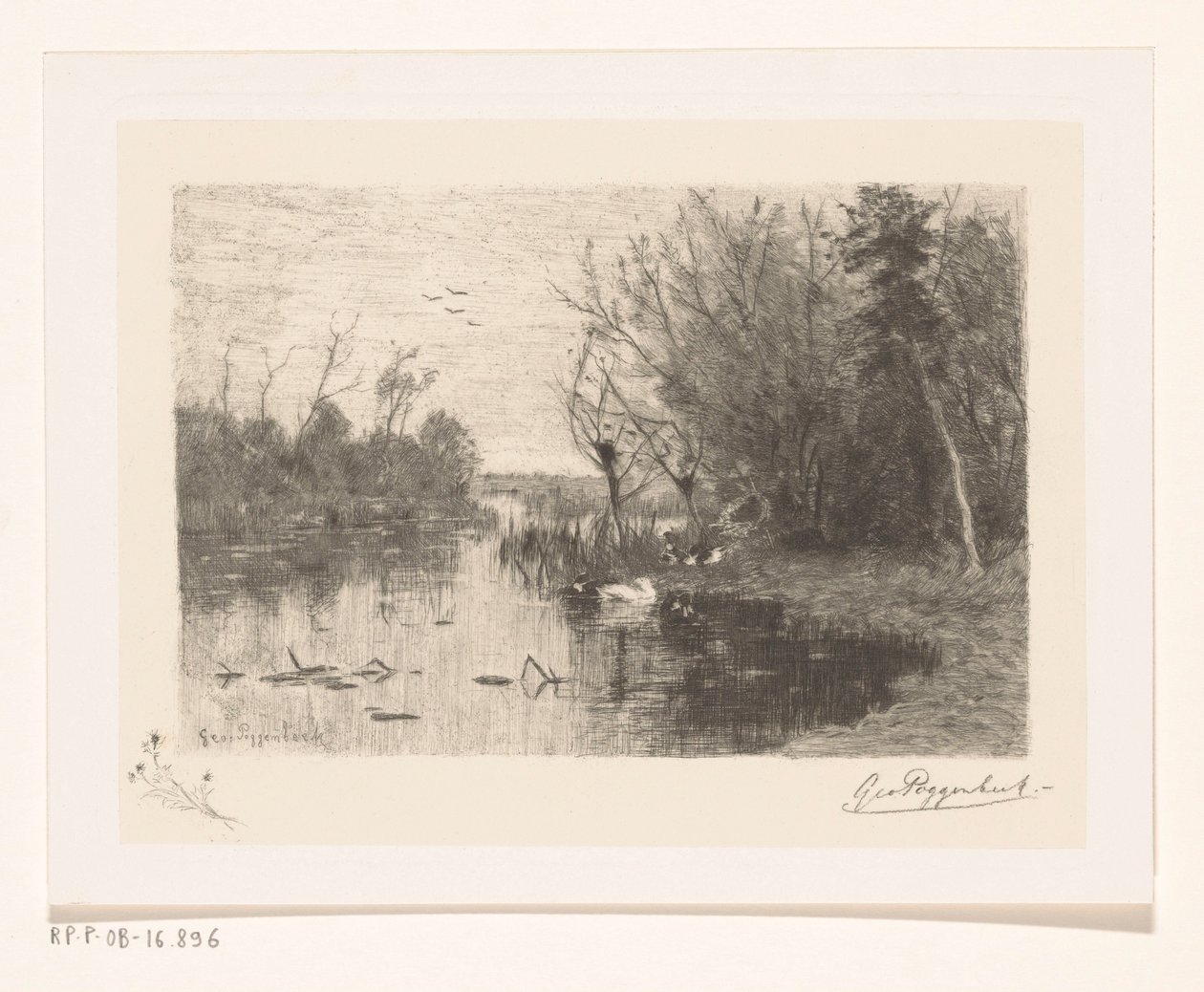 Ænder langs og på bredden af ​​en sø Andetis (original titel) af Geo Poggenbeek (signed by artist)