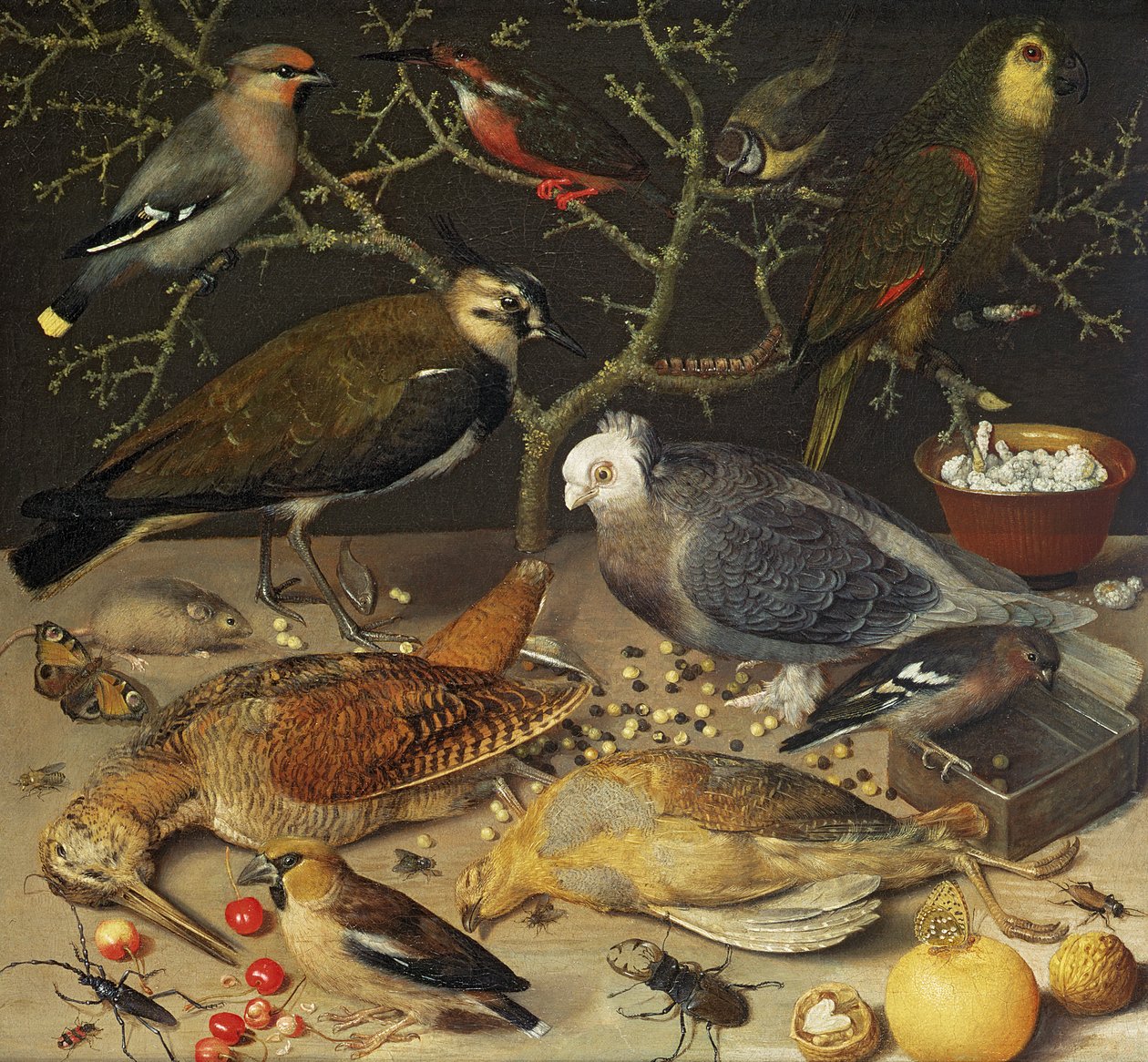 Stilleben af fugle og insekter, 1637 af Georg Flegel