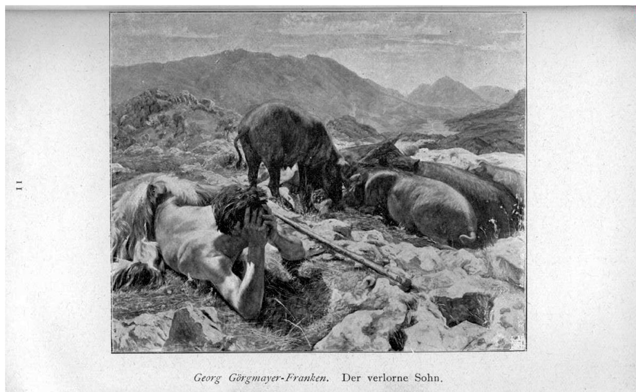 Den tabte søn af Georg Görgmayer Franken
