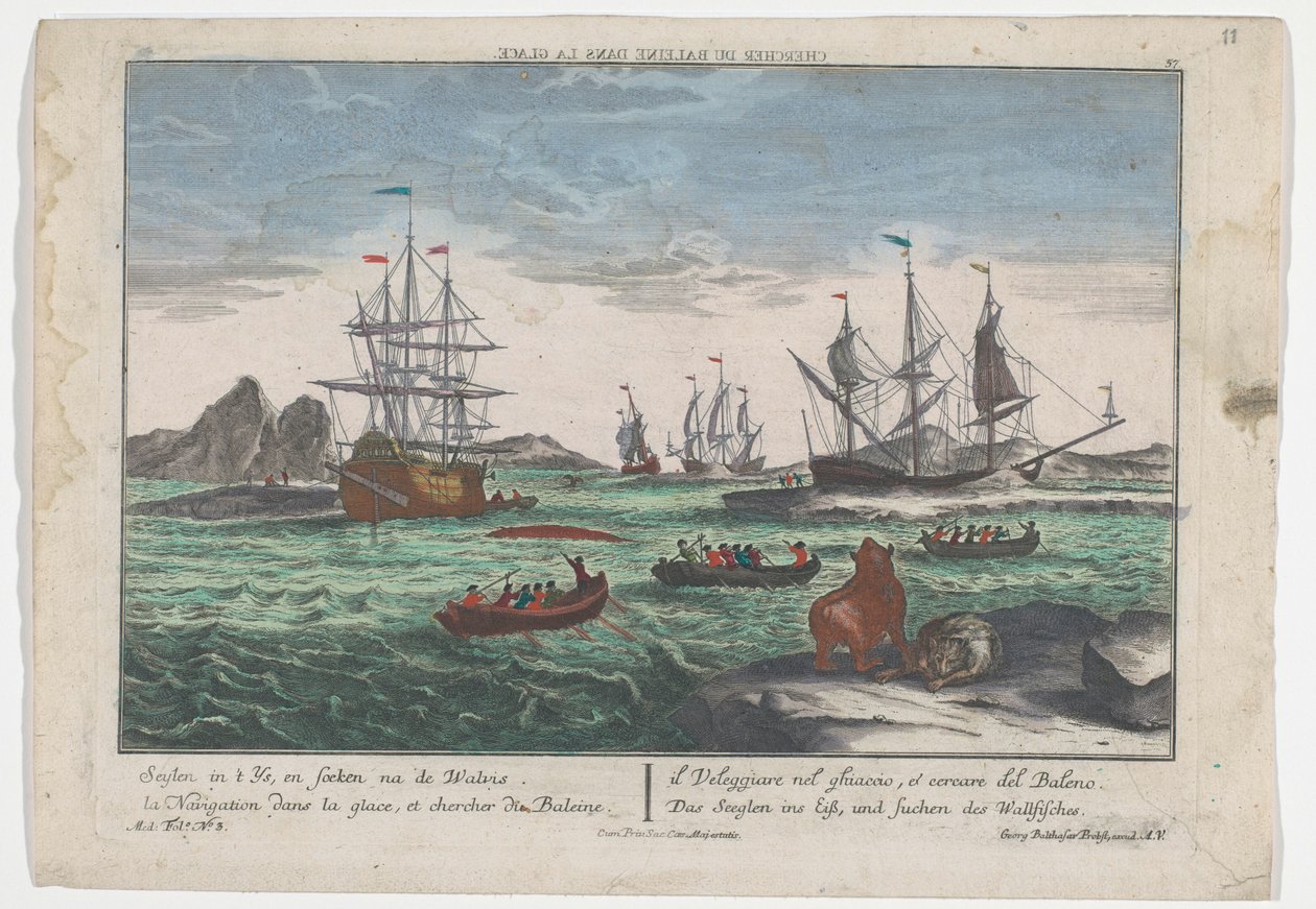 Udsigt over eftersøgningen af ​​hvalerne Das Seeglen ins Eiß, und Suchen des Wallfisches (titel på objekt) Hvalfangst ud for Grønland (serietitel) af Georg Balthasar Probst
