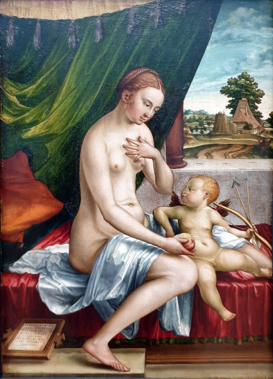 Tysk: Venus und Amor Venus og Amor af Georg Pencz