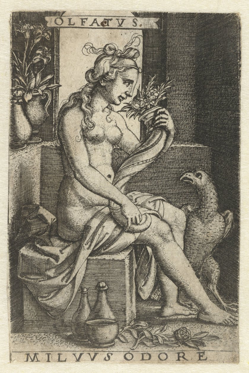 Lugt (Olfactus) Olfatvs milvvs odore (titel på objekt) Five Senses (serietitel) af Georg Pencz