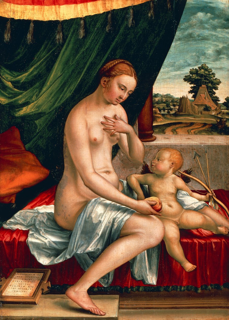 Venus og Amor af Georg Pencz (ca. 1500-1550), olie på panel, 47x34 cm, ca. 1528 af Georg Pencz