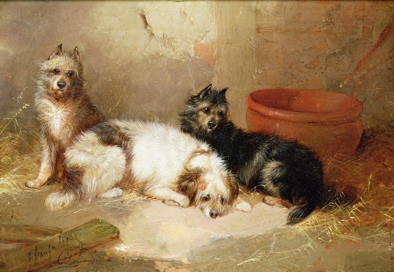 Tre terriere af George Armfield