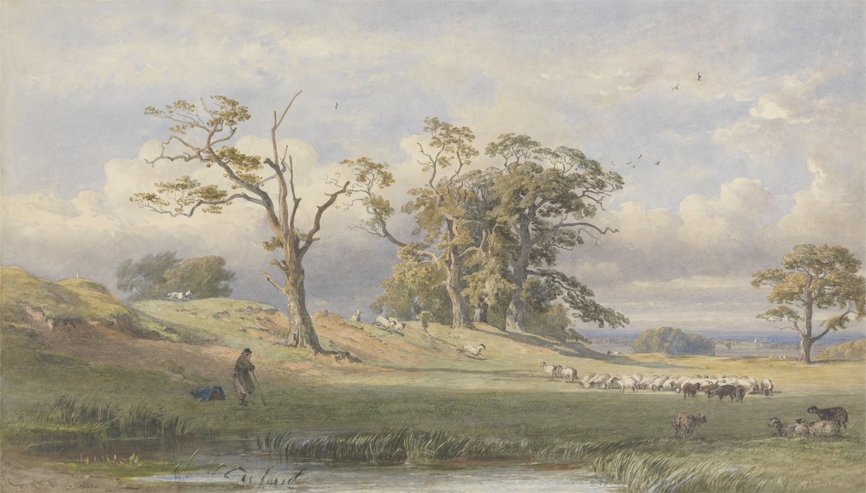 Old British Camp i Bulstrode Park, 1860 (wc over grafit på papir) af George Arthur Fripp