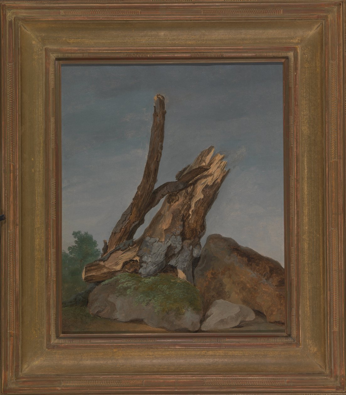 Undersøgelse af klipper og grene af George Augustus Wallis