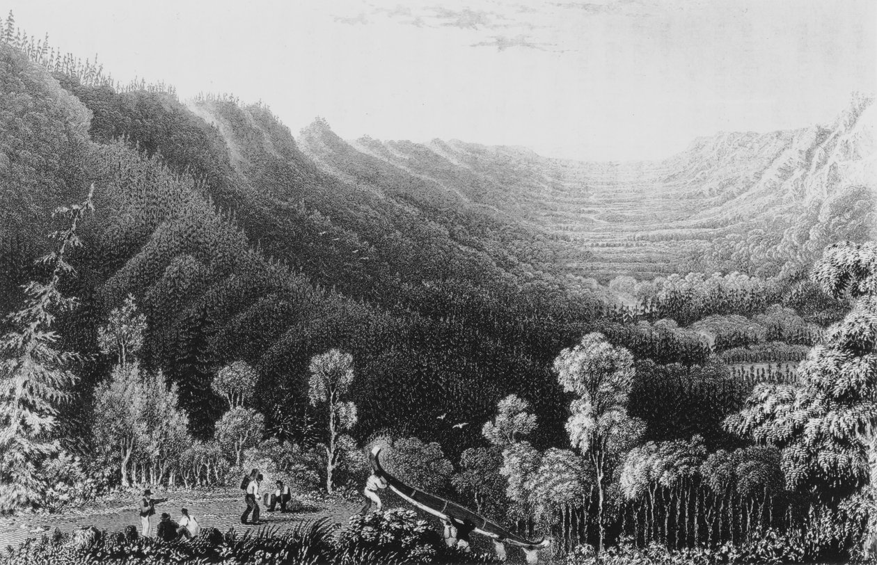 Vale of the Clearwater River fra Methye Portage, 1828 af George Back