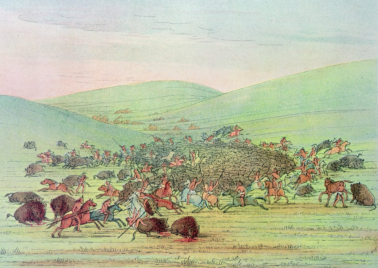 Minatarees angriber bøfler på hesteryg af George Catlin