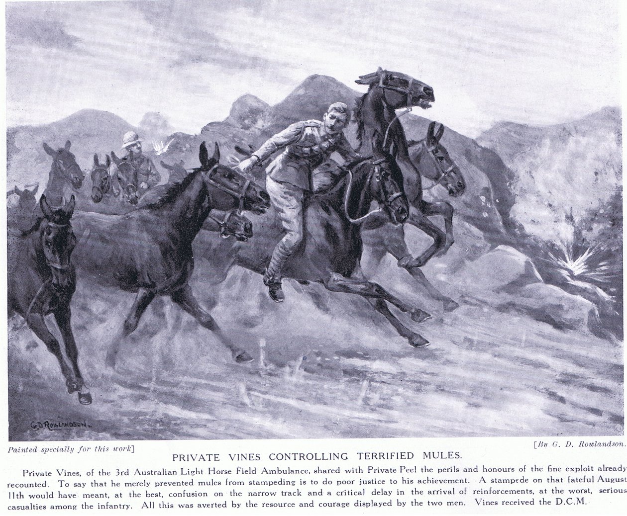 Menig Vines tildelt DCM for at have kontrolleret rædselsslagne muldyr august 1915 af George Derville Rowlandson