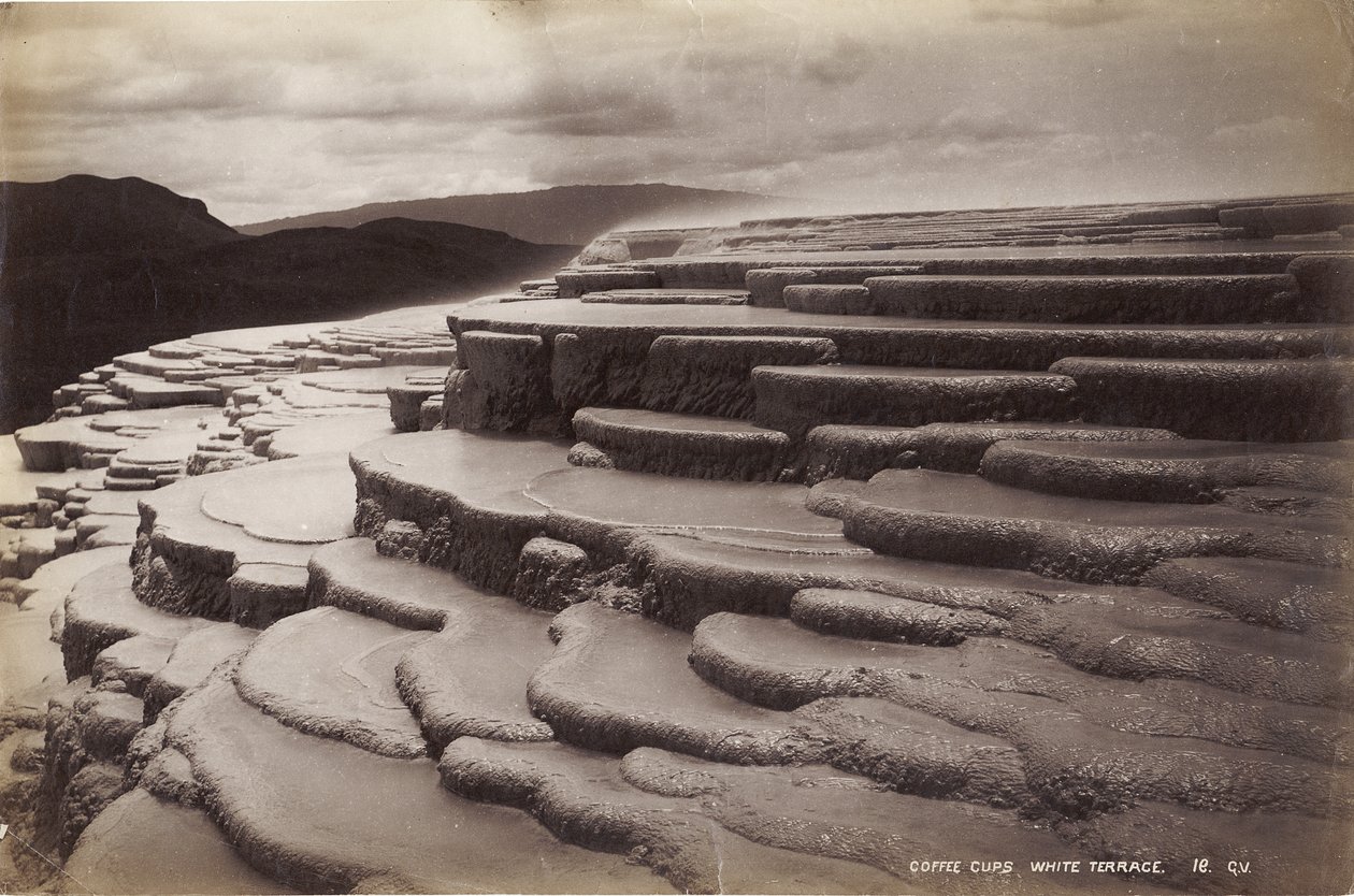 Kaffekopper, hvid terrasse, januar 1885 (albumin print) af George Dobson Valentine