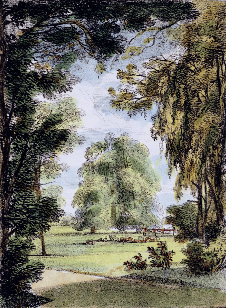 The Sister Trees, Kew Gardens, plade 8 fra 