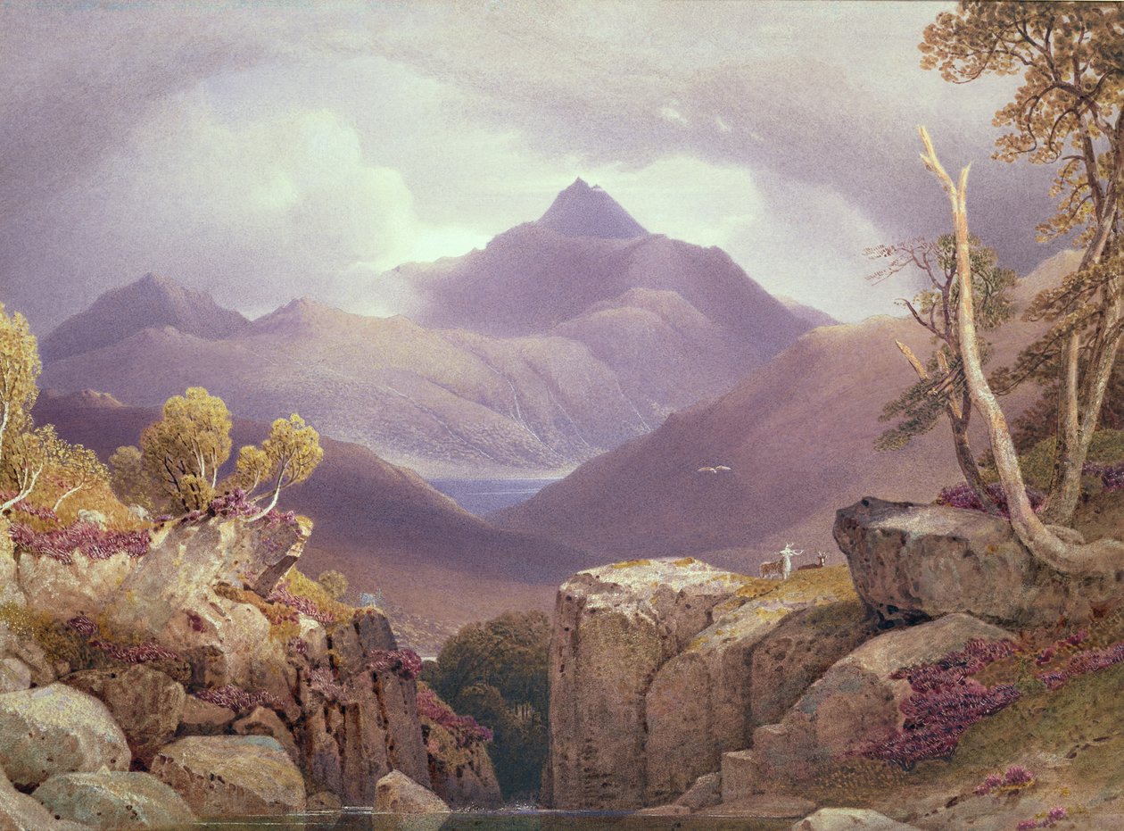 Ben Lomond af George Fennel Robson
