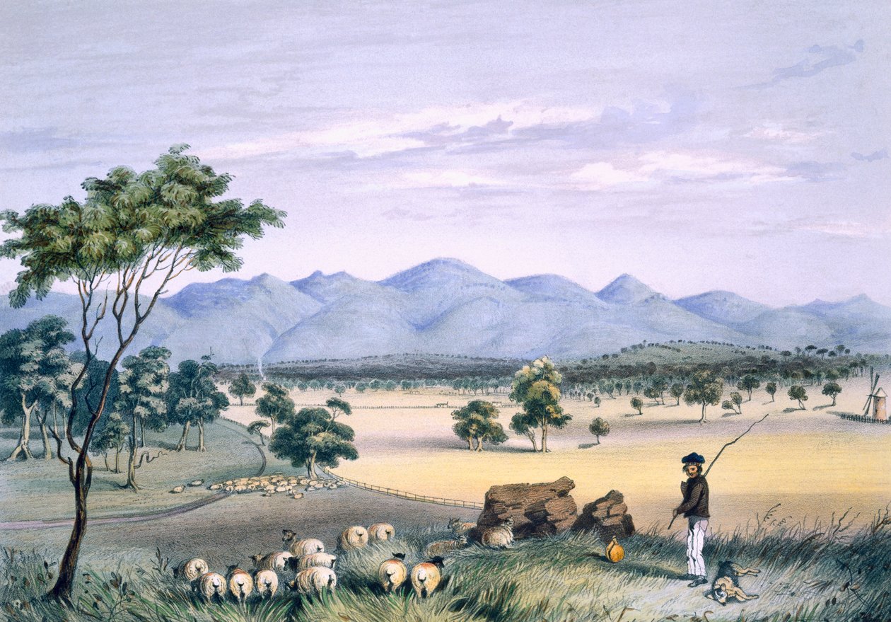 Lynedoch Valley ser mod Barossa Range, fra 