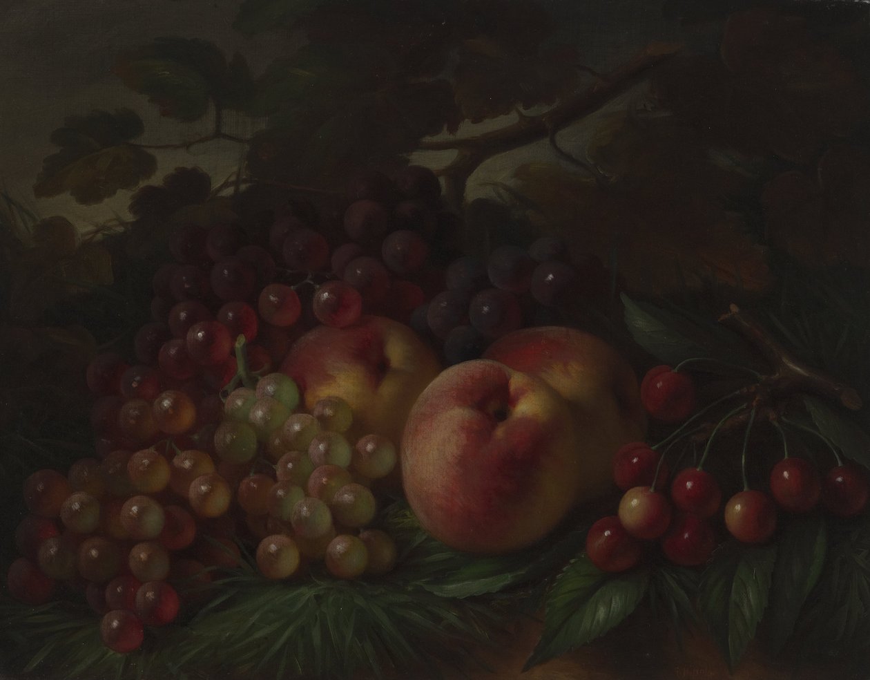 Ferskner, druer og kirsebær af George Henry Hall