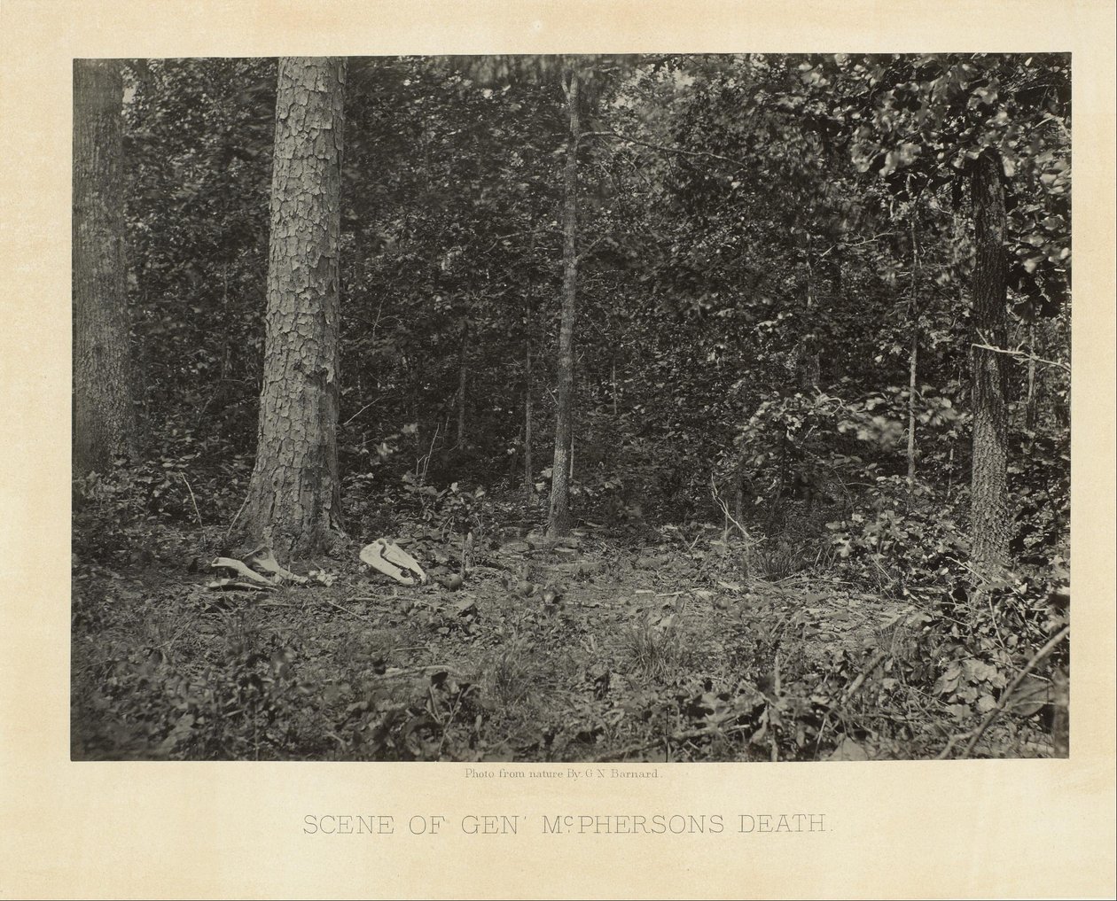 Scene for general McPhersons død af George N. Barnard