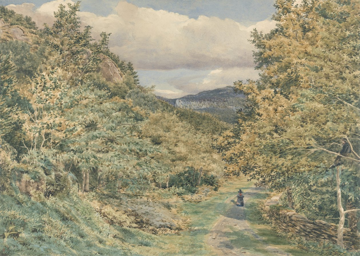 En vej nær Bettws-y-Coed, 1851 (wc over grafit på papir) af George Price Boyce