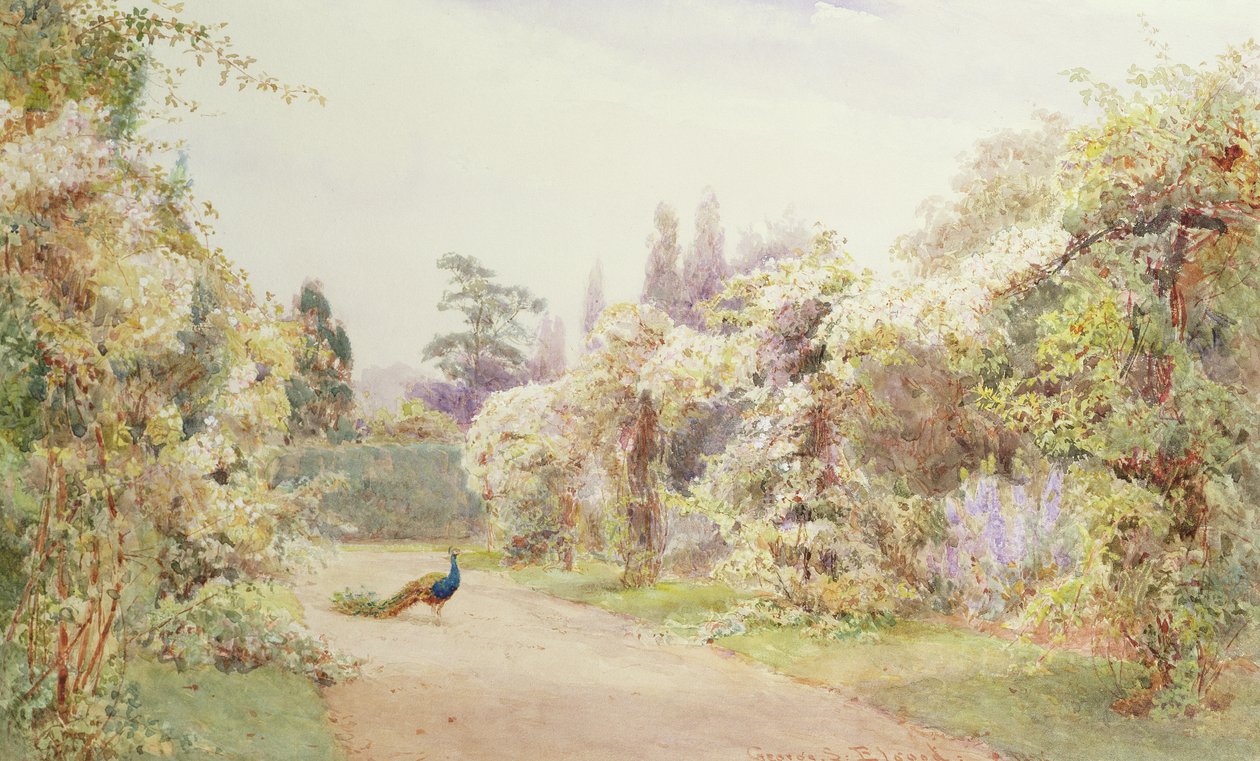 Sommerhave med en påfugl af George Samuel Elgood