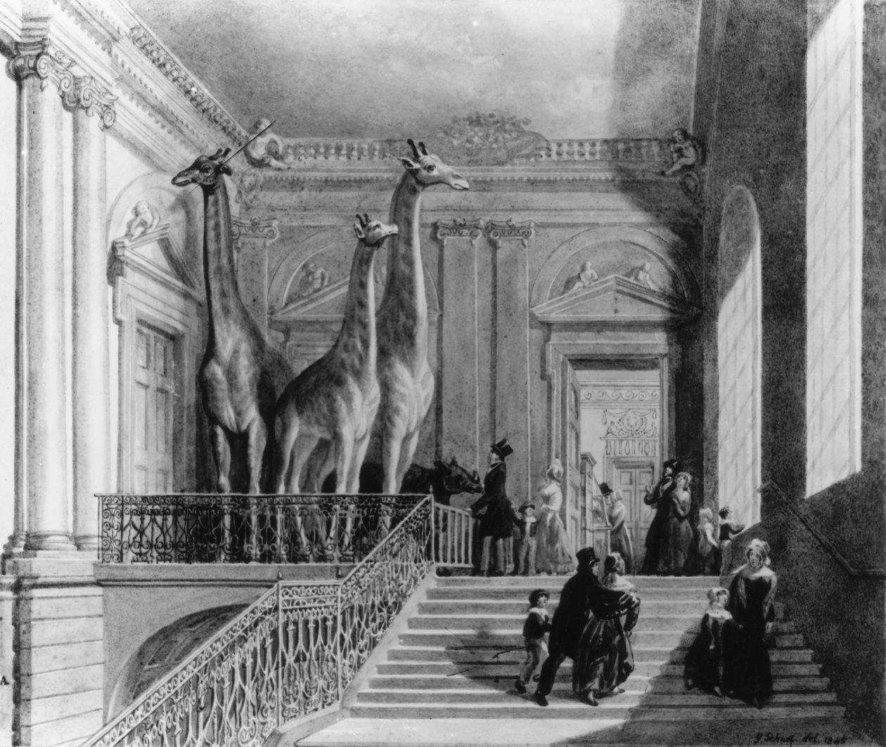 Giraffer på trappen i British Museum, 1845 (pen og blæk og wc på papir) af George Snr Scharf