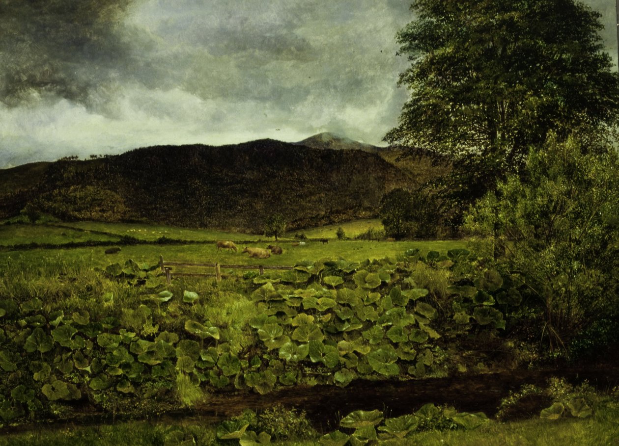 Wallow Crag, Cumberland af George Stanfield Walters