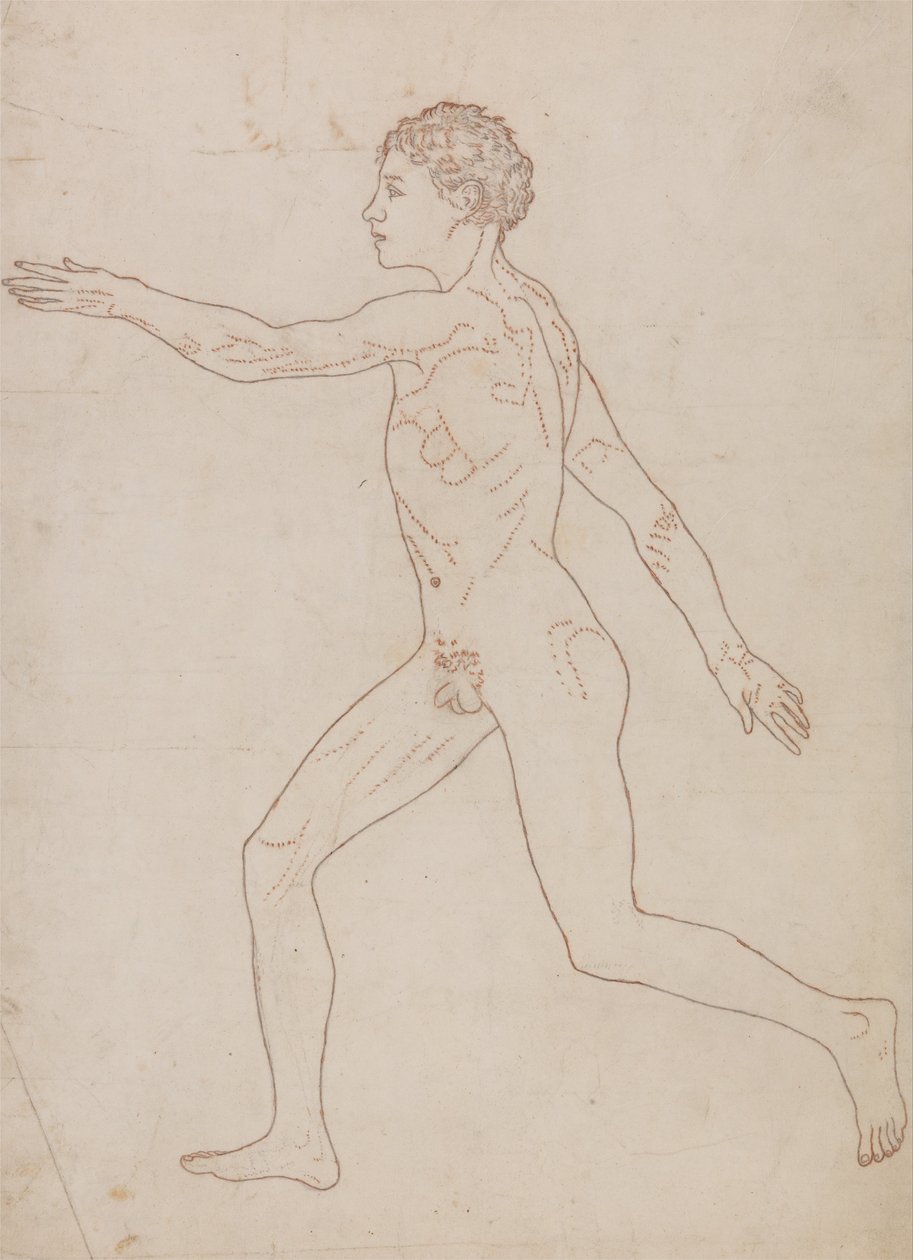 En komparativ anatomisk fremstilling af menneskekroppens struktur med en tigers og en ... af George Stubbs