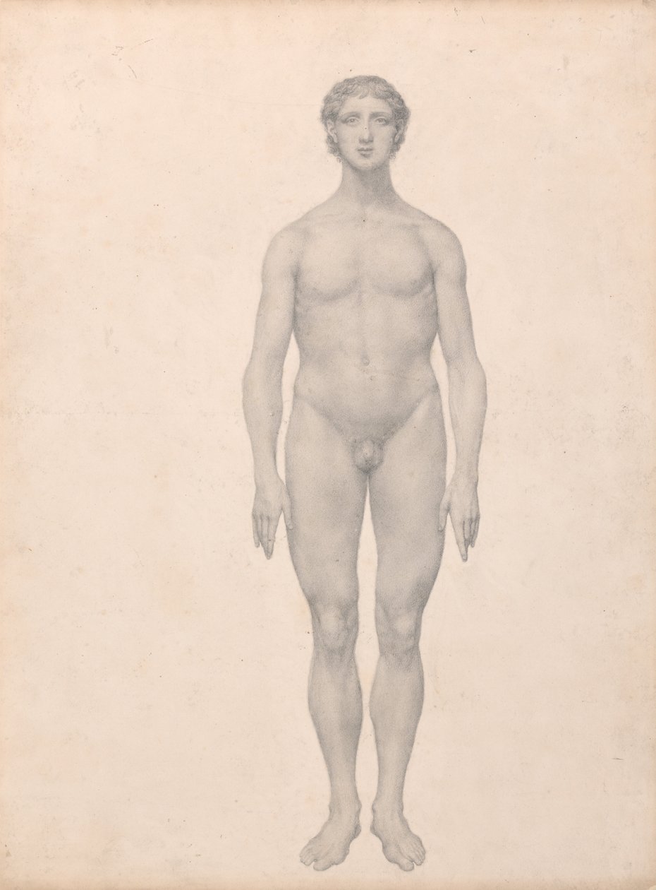 En komparativ anatomisk fremstilling af menneskekroppens struktur med en tigers og en ... af George Stubbs
