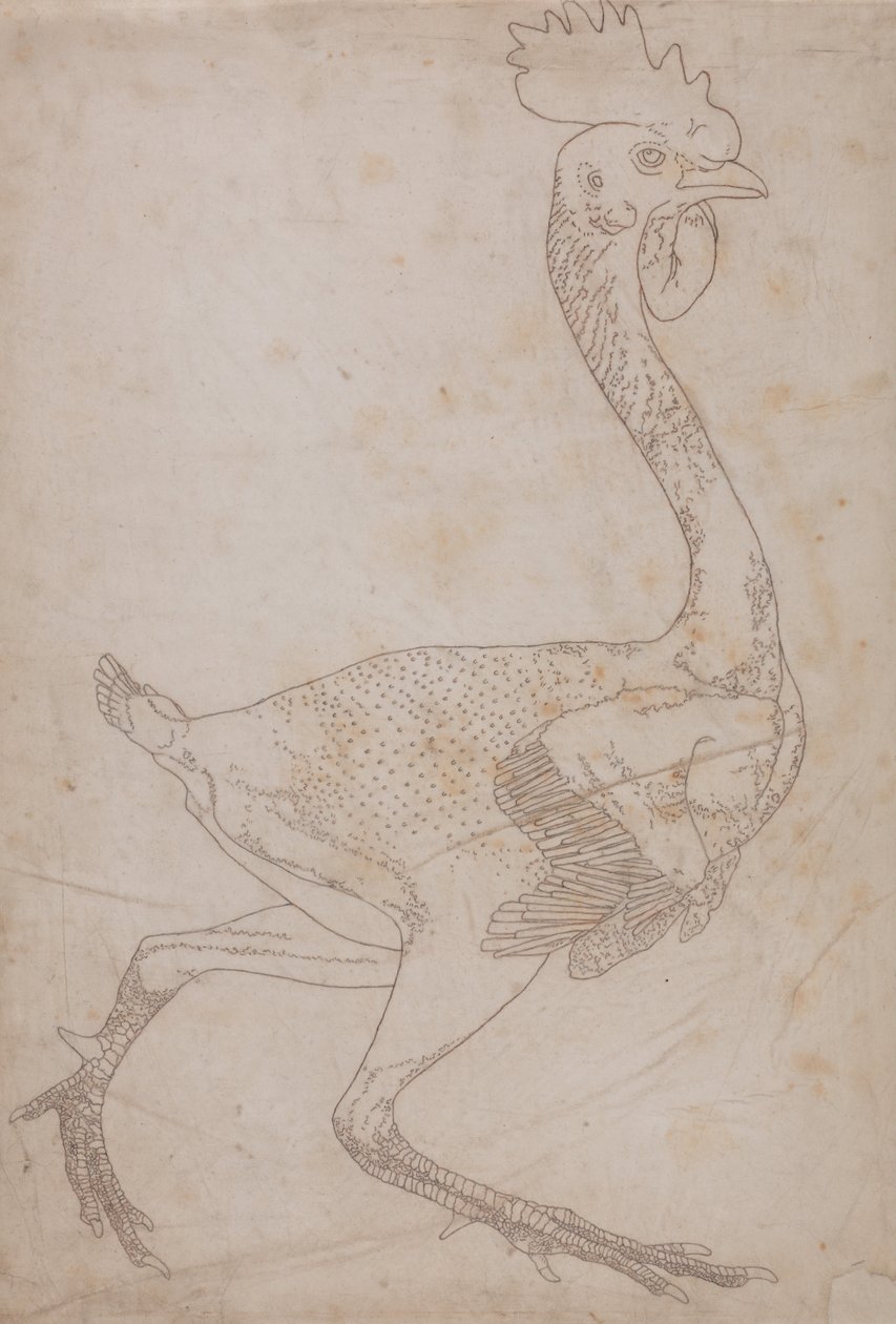 En komparativ anatomisk fremstilling af menneskekroppens struktur med en tigers og en ... af George Stubbs
