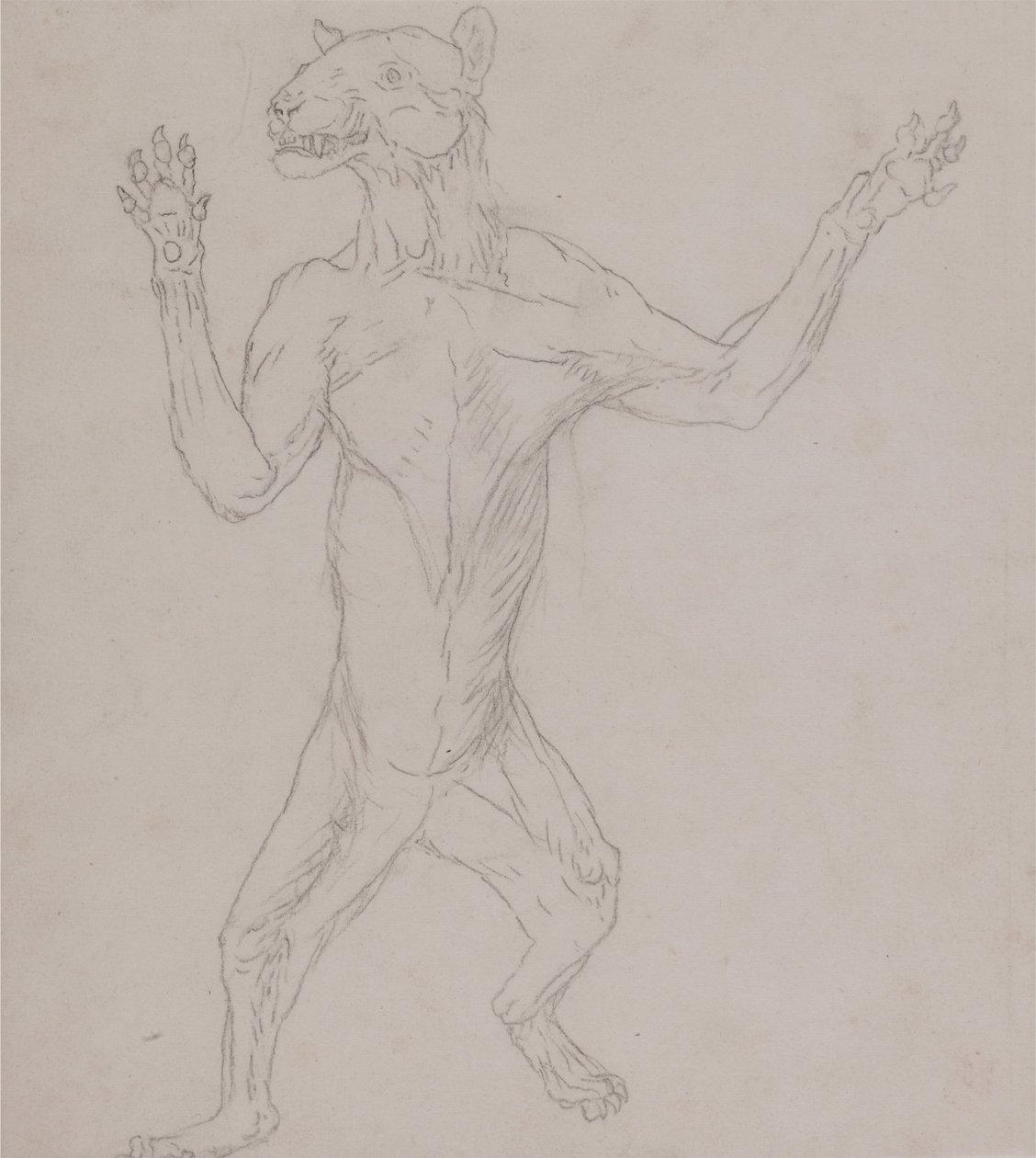 En komparativ anatomisk fremstilling af menneskekroppens struktur med en tiger og en ... af George Stubbs