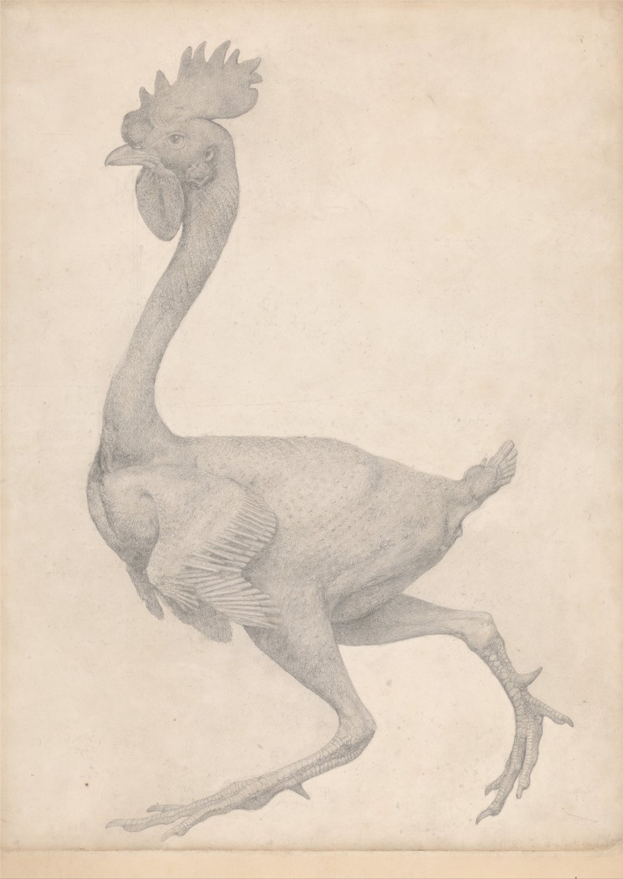 En komparativ anatomisk fremstilling af menneskekroppens struktur med en tiger og en ... af George Stubbs