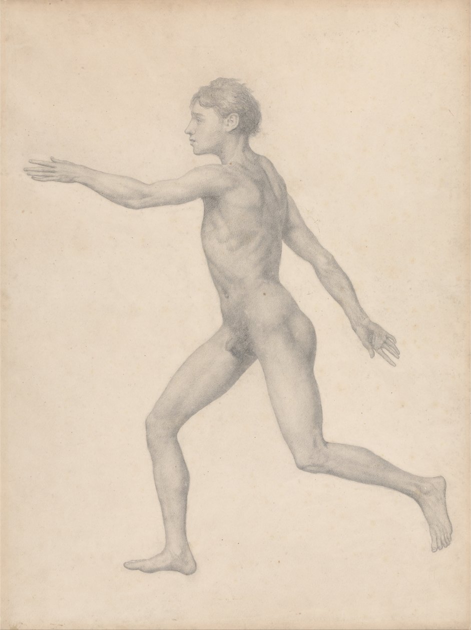 En komparativ anatomisk fremstilling af menneskekroppens struktur med en tiger og en ... af George Stubbs