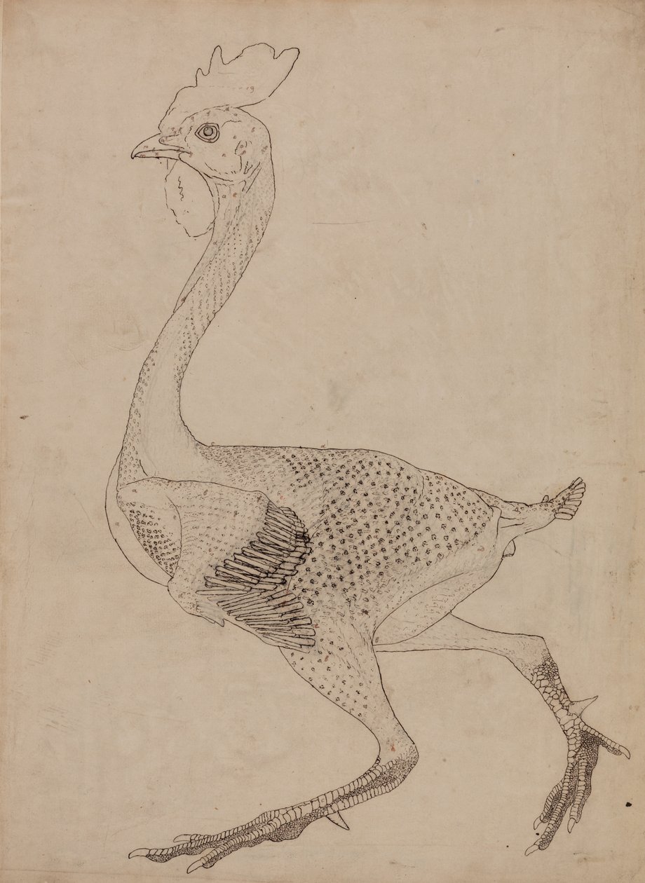 En komparativ anatomisk fremstilling af menneskekroppens struktur med en tiger og en ... af George Stubbs