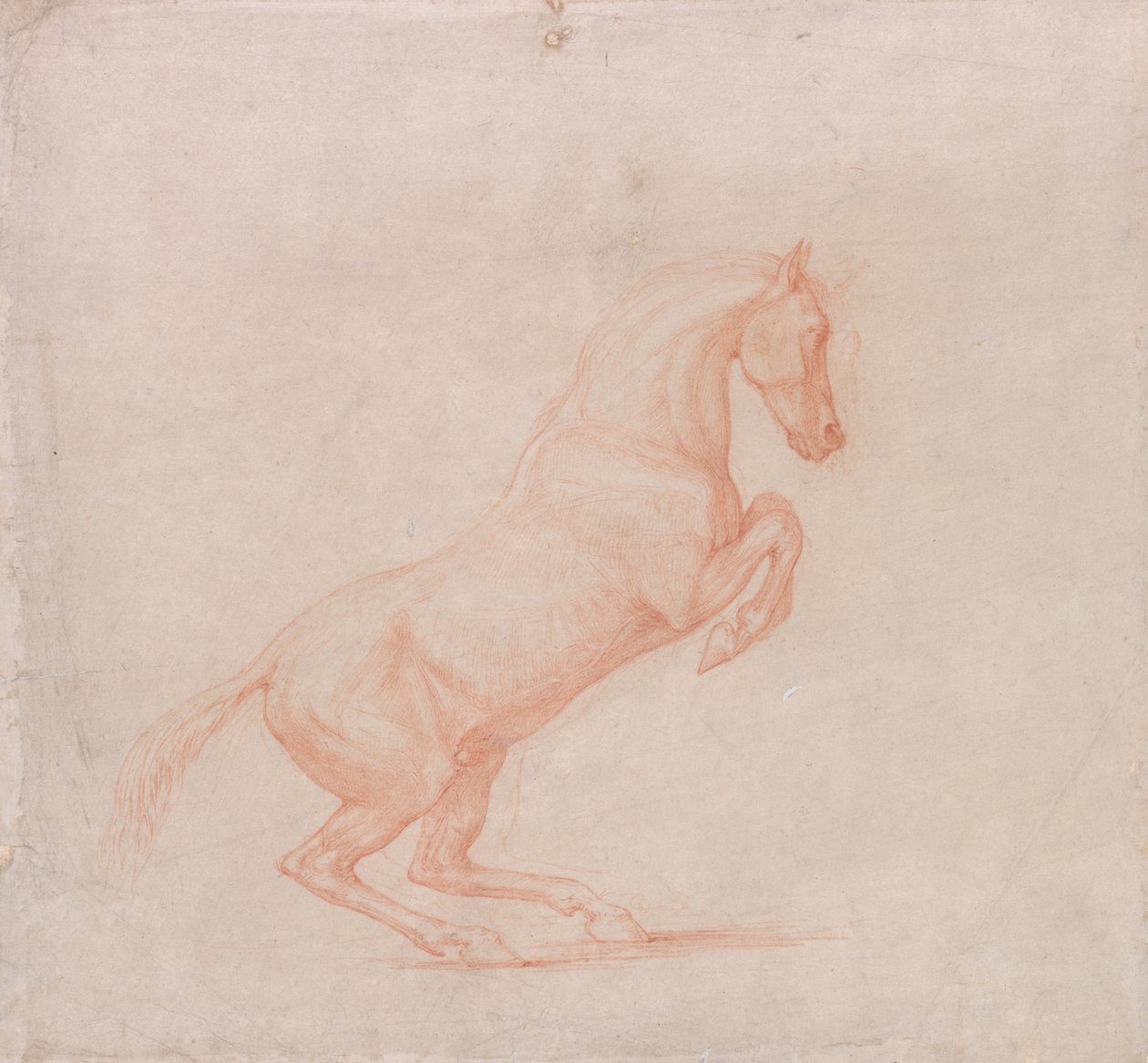 En sprudlende hest, mod højre af George Stubbs