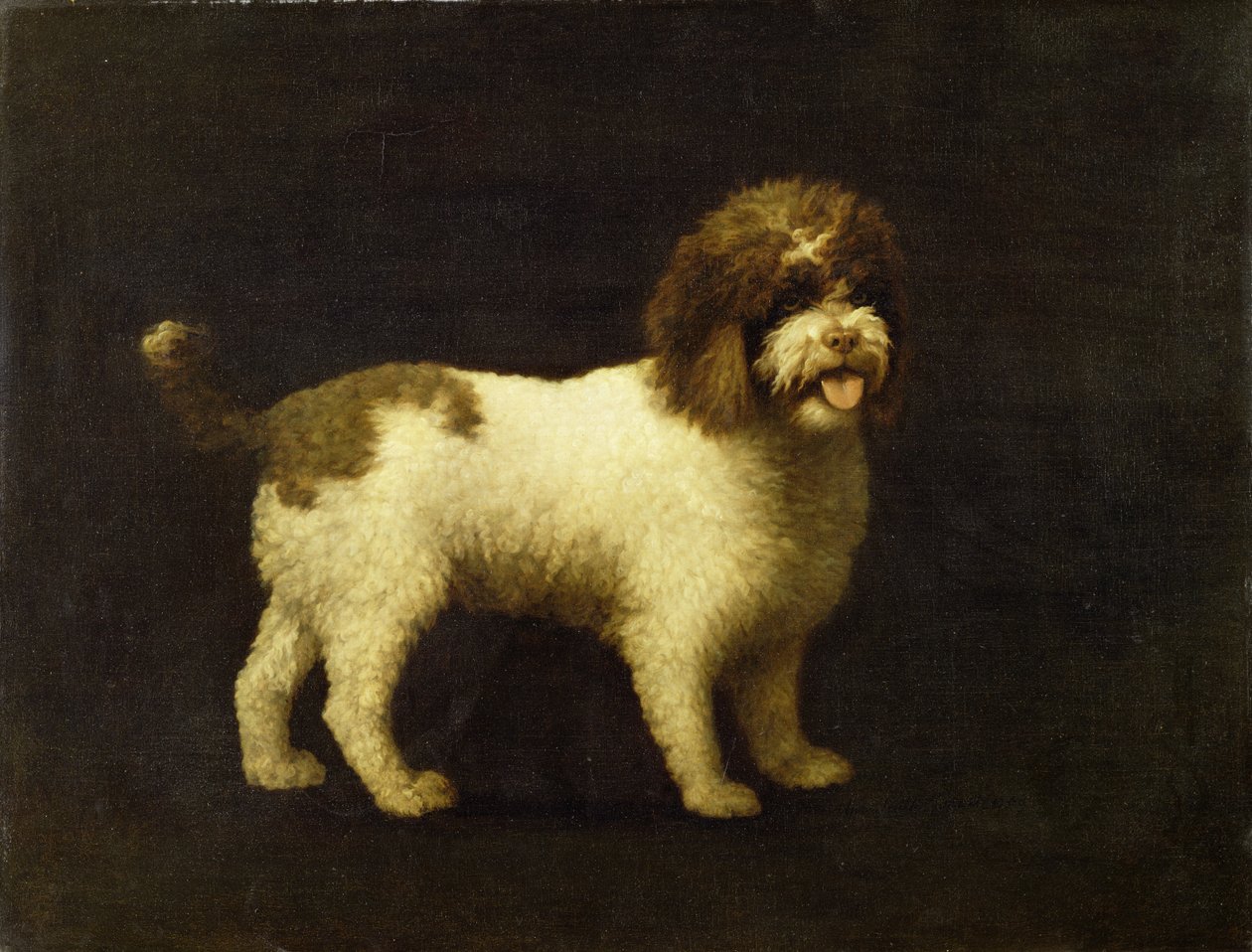 En vandspaniel, 1769 af George Stubbs