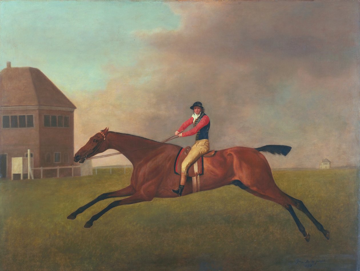 Baronet med Sam Chifney Up, 1791 af George Stubbs