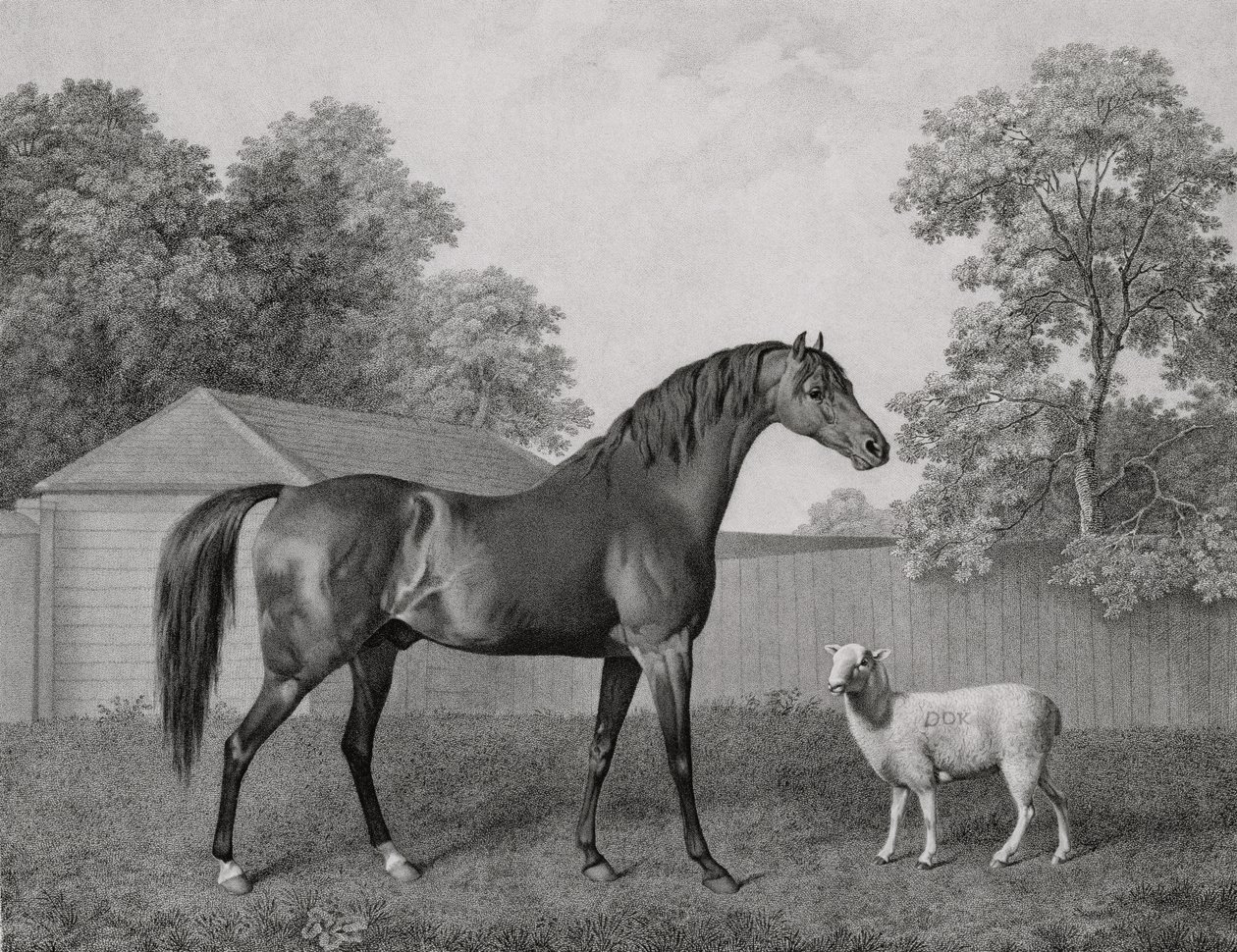 Dungannon, indgraveret af George Townley Stubbs (1756-1815) pub. 1794 af George Stubbs