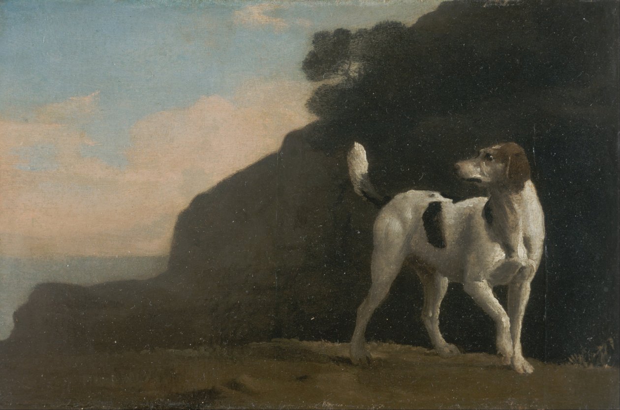 Foxhound af George Stubbs