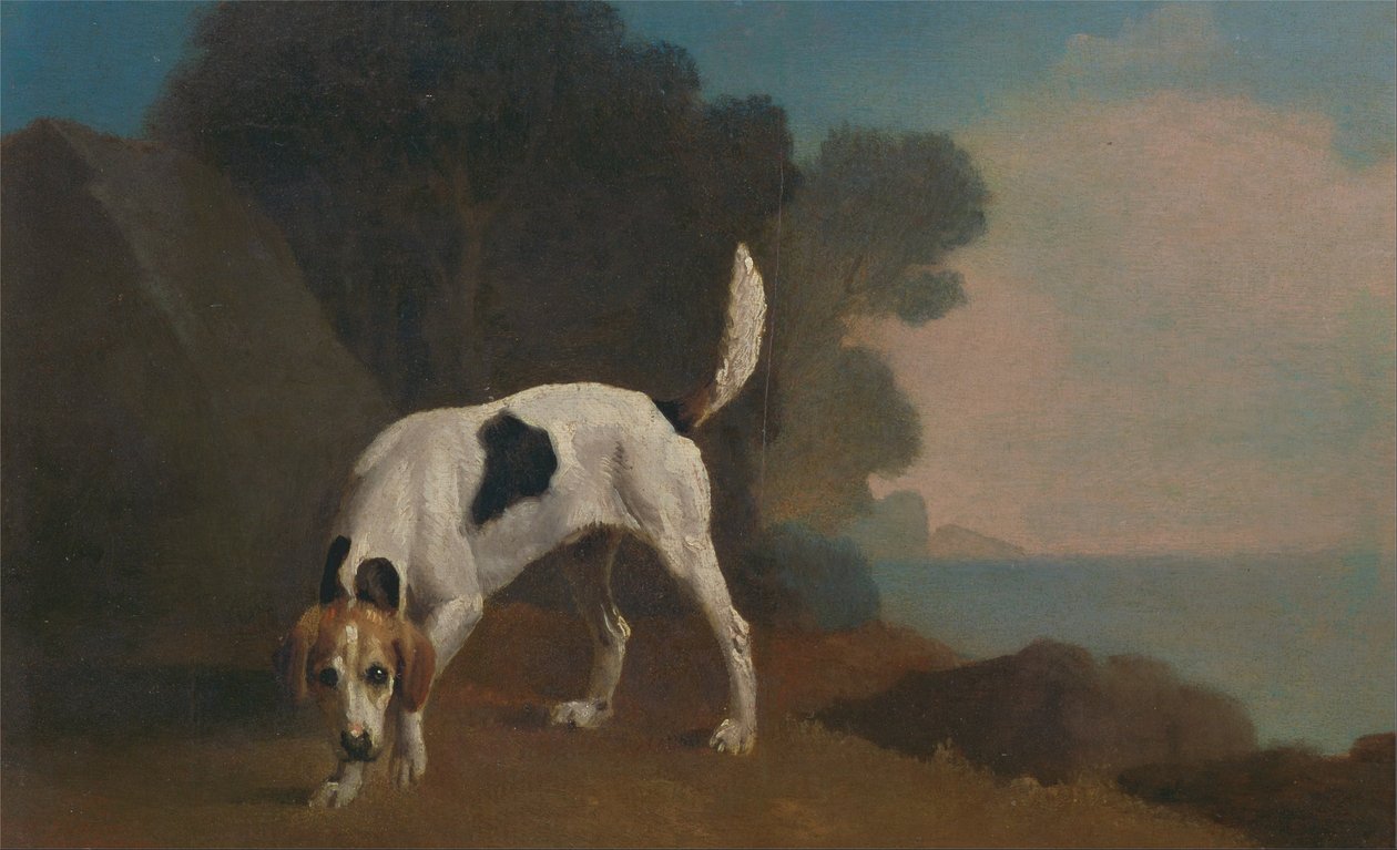 Foxhound af George Stubbs