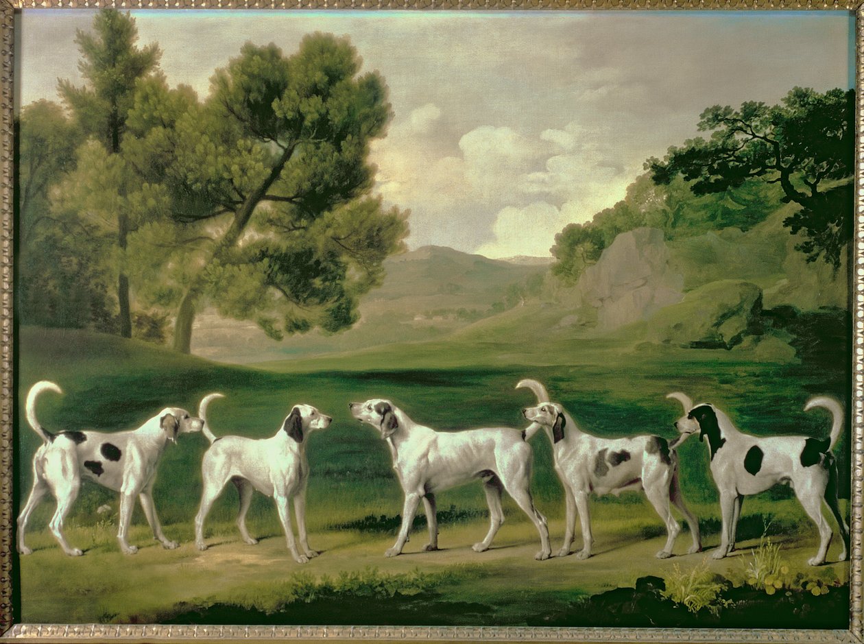 Rævehunde i et landskab, 1762 af George Stubbs