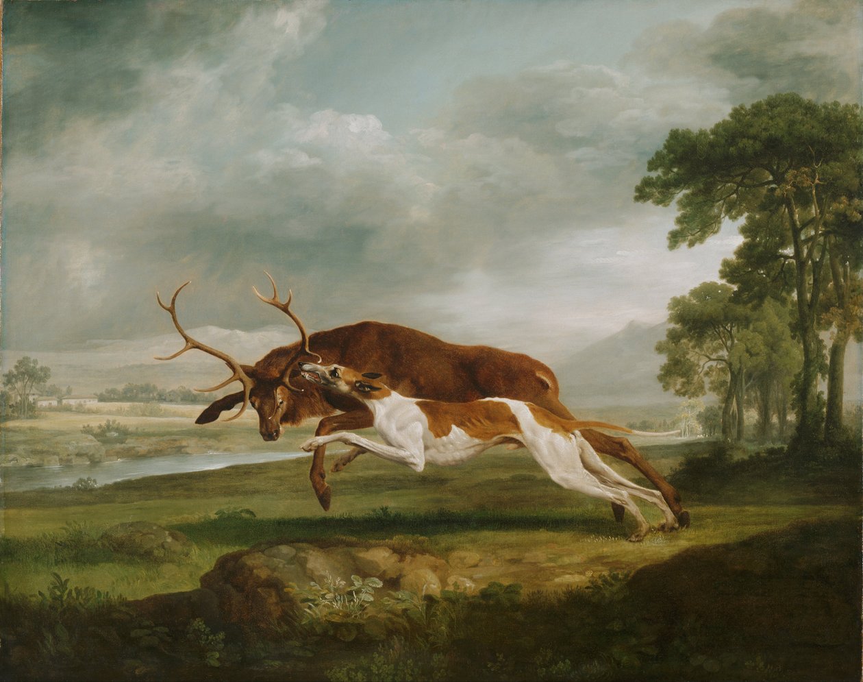 Hound Coursing en hjort af George Stubbs