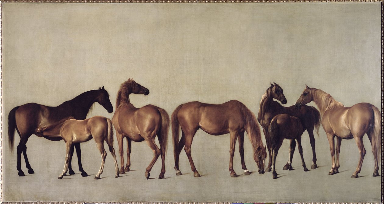 Hopper og føl uden baggrund, c.1762 af George Stubbs