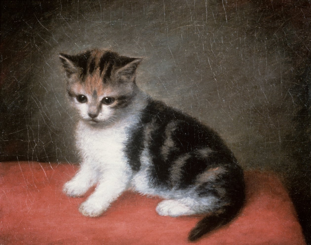 Miss Ann Whites killing, 1790 af George Stubbs
