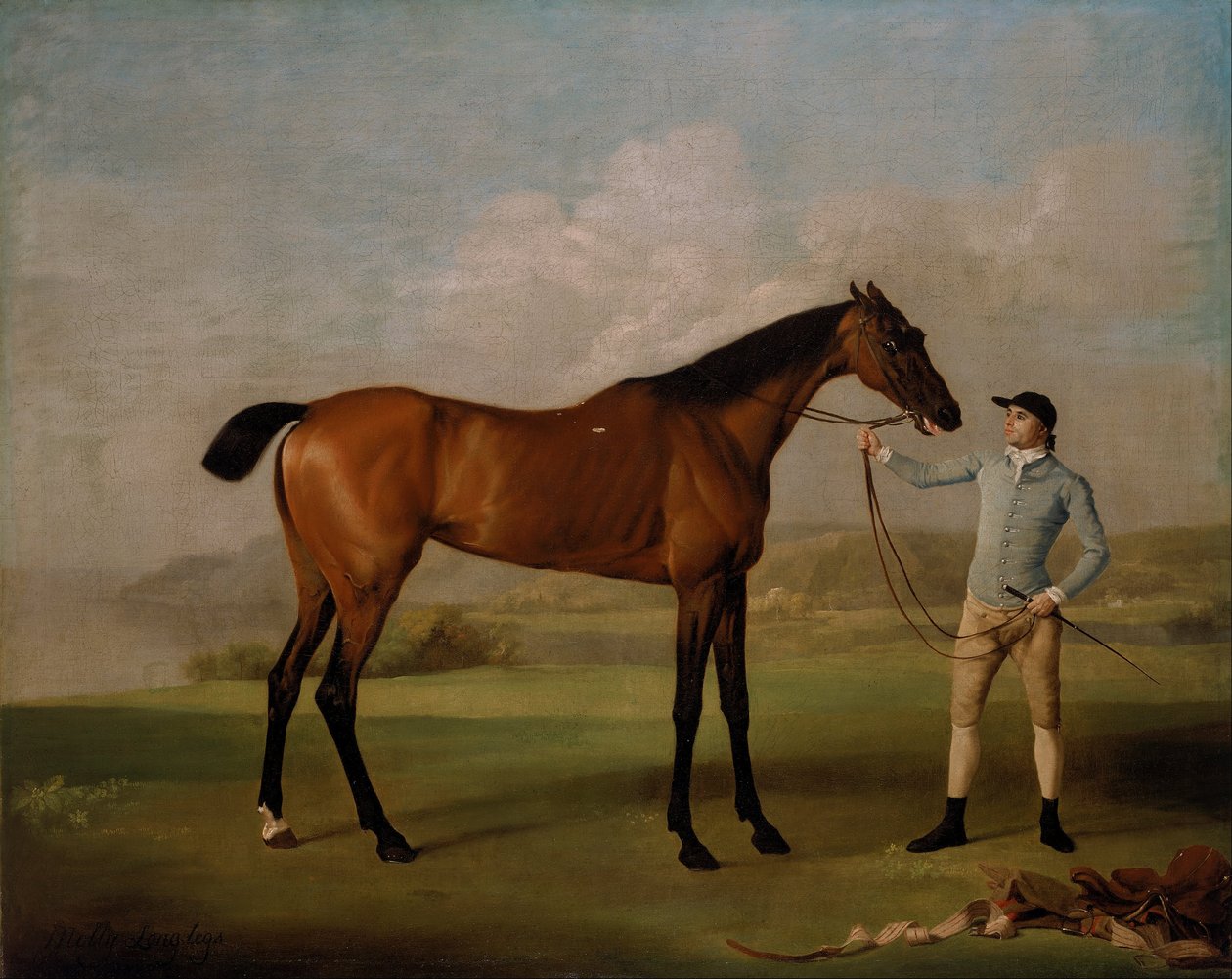 Molly Long-legs med sin Jockey af George Stubbs