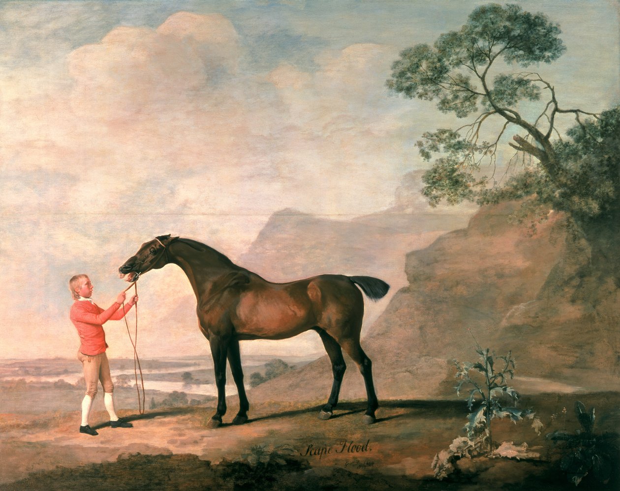 Syndflod af George Stubbs