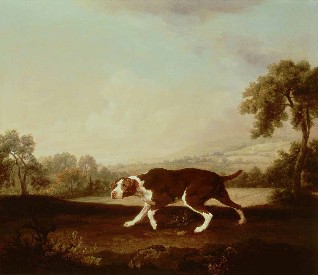 Spansk pointer af George Stubbs