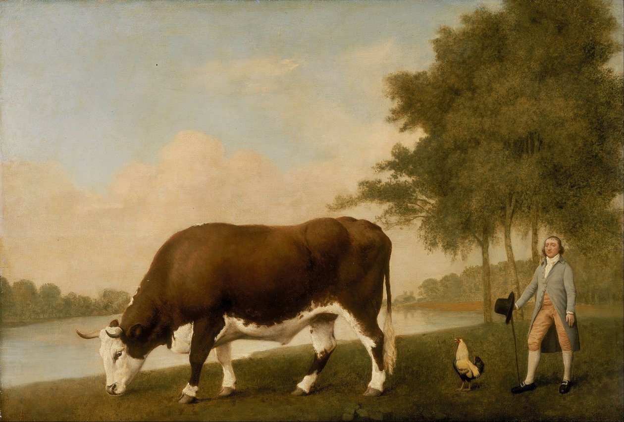 The Lincolnshire Ox af George Stubbs