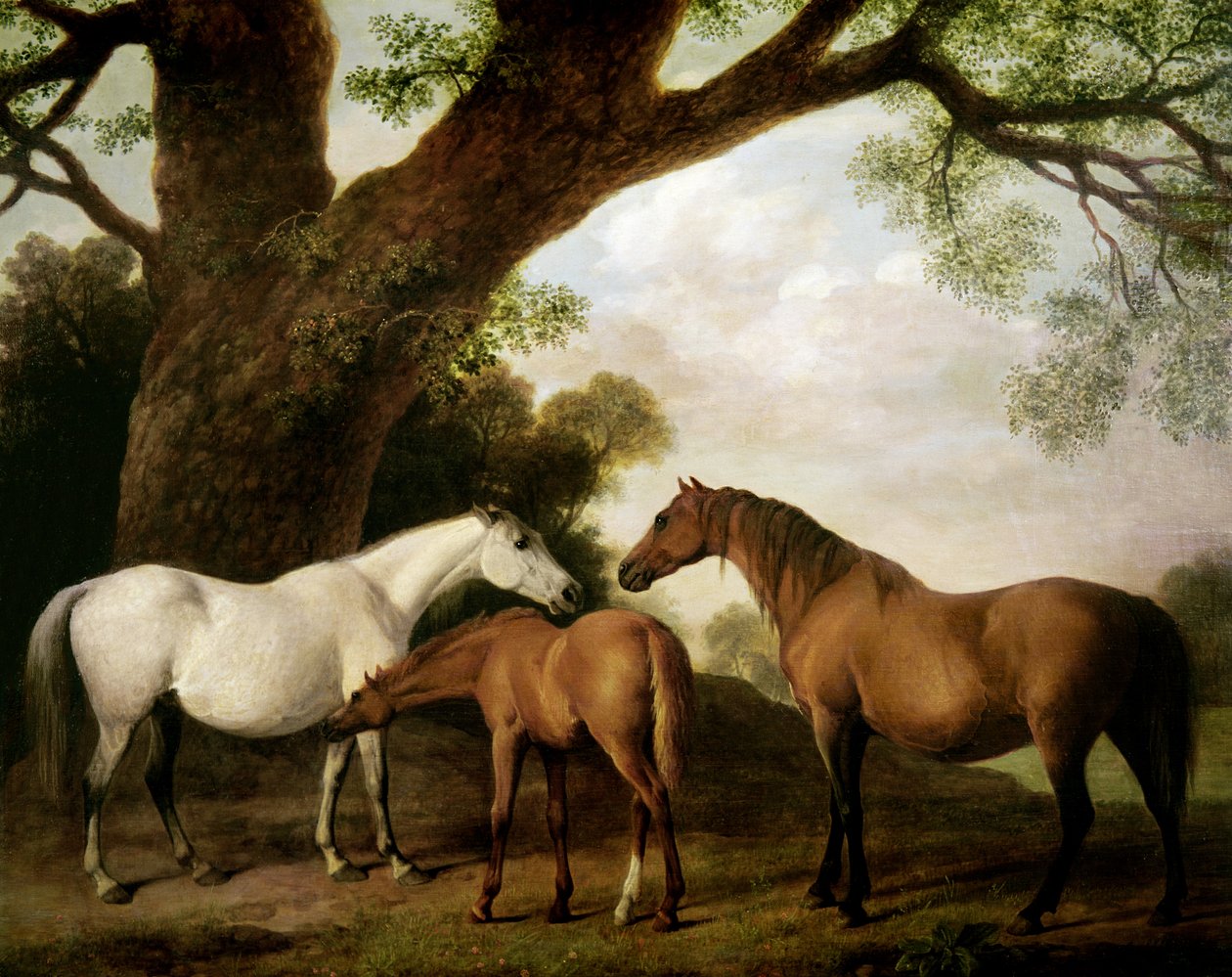 To Shafto-hopper og et føl, 1774 af George Stubbs